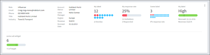 Example of a summary widget